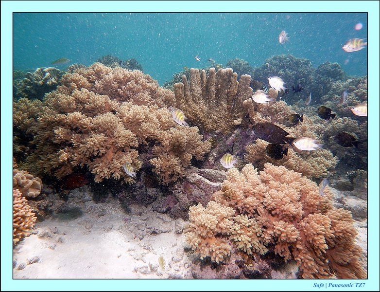 2011 - 08 - Bohey Dulang Island 17